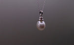 Luxurious South Sea Pearl Necklace in Sterling Silver Setting